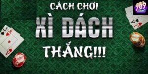 Cách khai thác các thuật ngữ quan trọng trong xì dách
